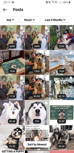 Screenshot_20210908-221140_Instagram