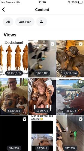 6010059797744520256