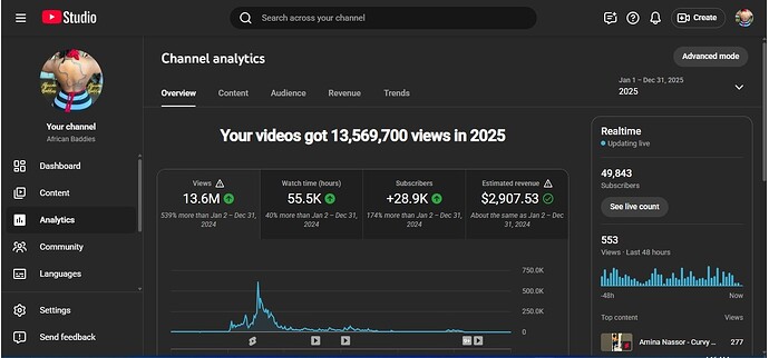 Channel Analytics Yr 2025