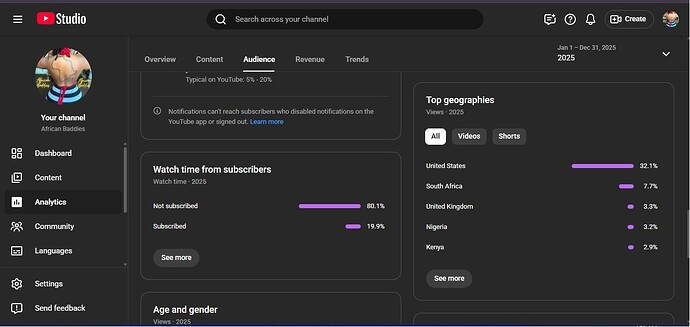 Analytics_Top Geographies_Subscribers