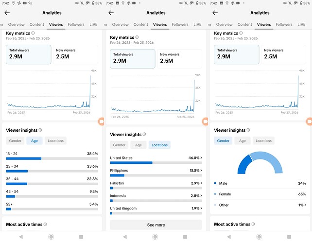 merged_viewer_insights_landscape