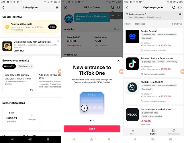 merged_subscription_tiktokone_projects_landscape