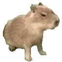 :capybara: :capybara: