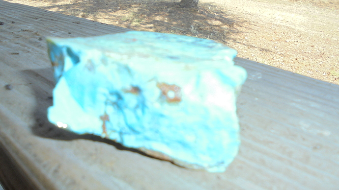 DSC01966