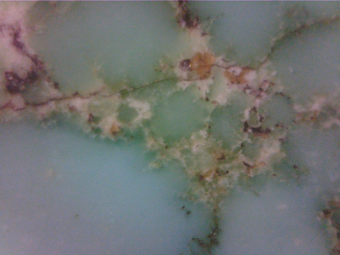 WIN_20190207_13_37_51_Pro