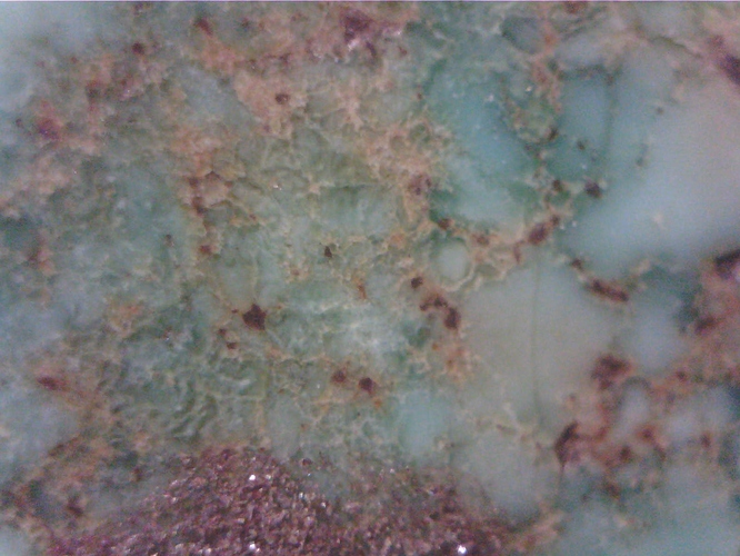 WIN_20190207_13_59_15_Pro