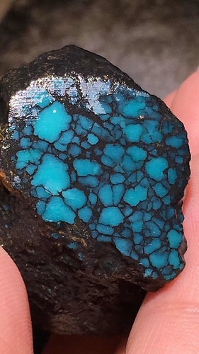 165172805