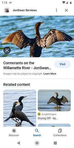 Screenshot_20221202-131542