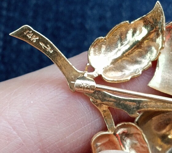 IMG_20250312_103602467~2