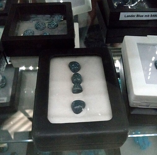 IMG_20250314_131224836~3