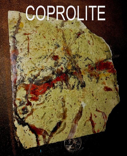 coprolite 1