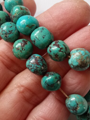 IMG_20240309_080247384