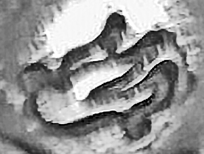 whoflungdung2