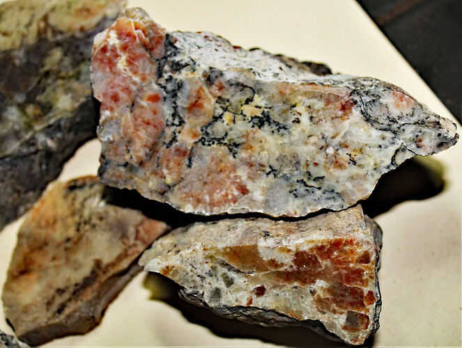 coprolite 3 morrison formation UT