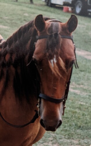 PXL_20201117_161218216.MP