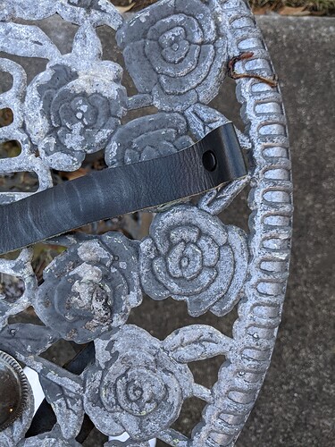 PXL_20230115_220626244.MP