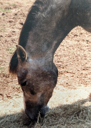 PXL_20201117_161628250.PORTRAIT-01.COVER