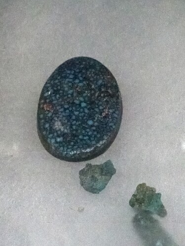 IMG_20250314_131133280~2