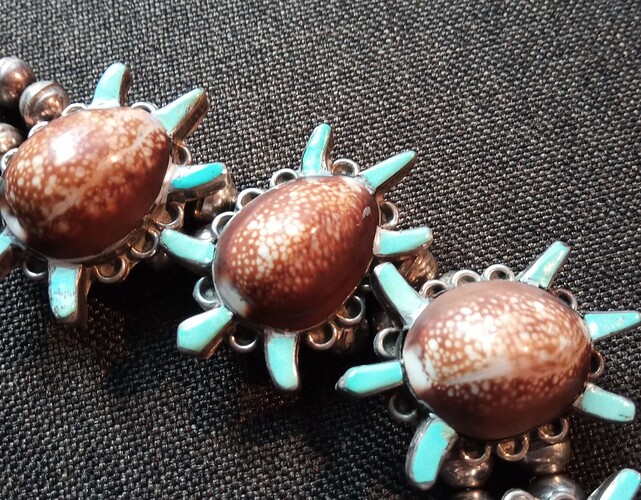 cowrie turtle close2