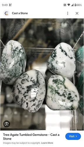 Screenshot_20240926-094901