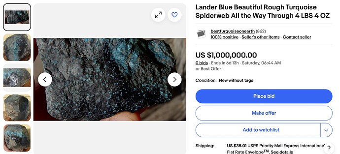 Screenshot 2024-07-13 at 17.23.25 copy