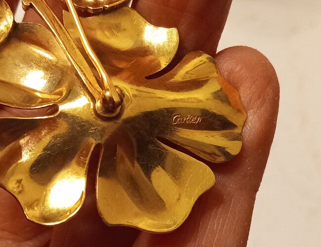 IMG_20250312_202030388