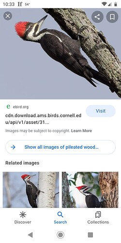 Screenshot_20220421-103308