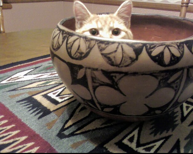 Screenshot_20231128-104426