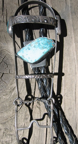 bridle (2)