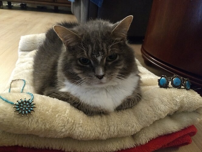 IMG_20231129_162633416