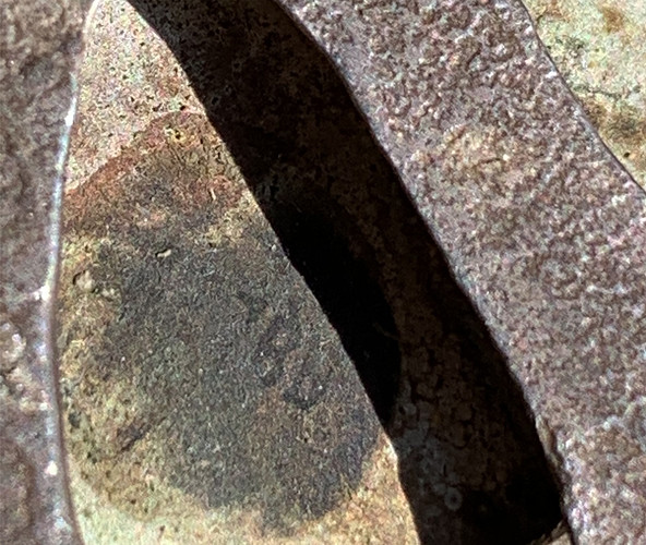 Screen Shot 2021-01-04 at 1.24.53 PM