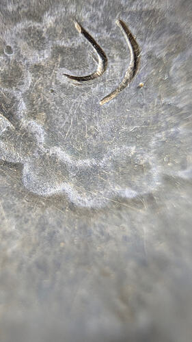 PXL_20260409_102748351