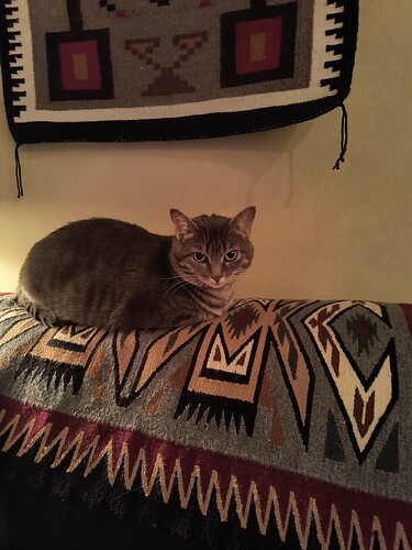 IMG_20231127_205339550