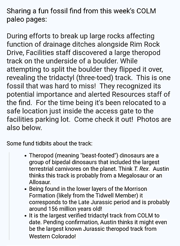 Screenshot_20240604-182806