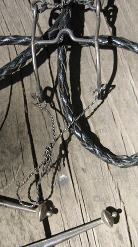 bridle bit