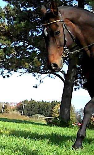 oct21sam14ride3