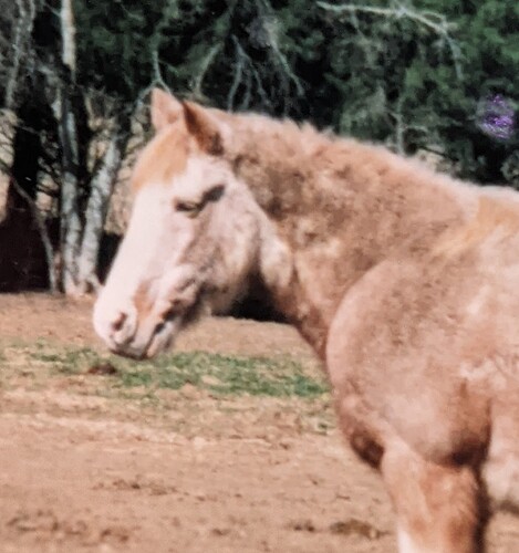 PXL_20201117_161903867.PORTRAIT-01.COVER