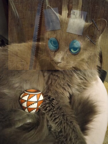 missing.turquoise.earrings.i.recently.made