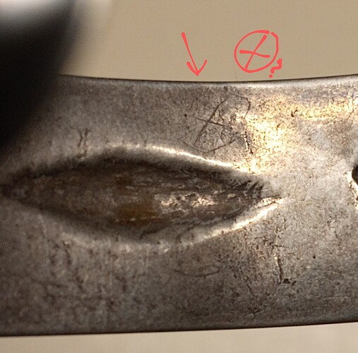 IMG_20250319_070610961~2