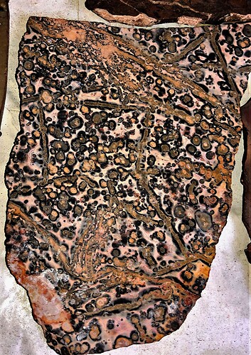 leopardskin jasper