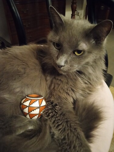 IMG_20231127_210116020