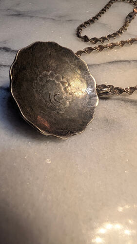 PXL_20260409_032008982.MP