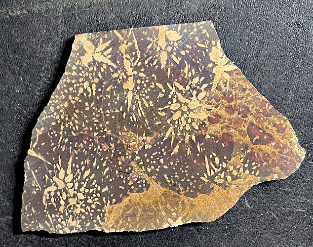 starburst jasper 1