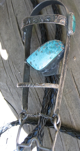 bridle (3)