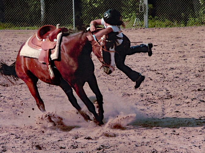 Janie Falling Off Flag 1