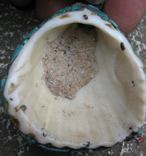 pendant pueblo shell (5)