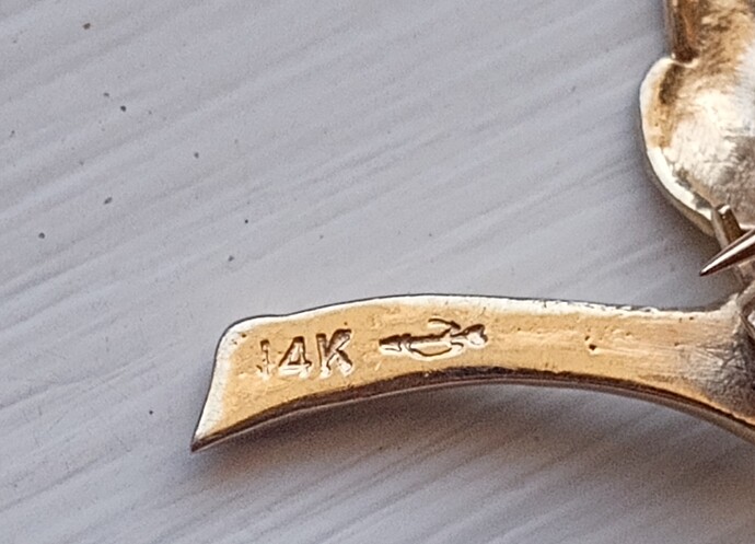 IMG_20251229_125117361