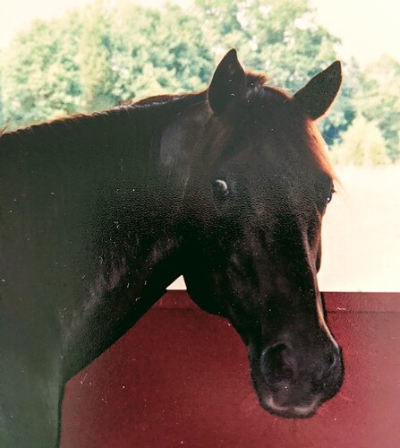 PXL_20201117_161722945.MP~2