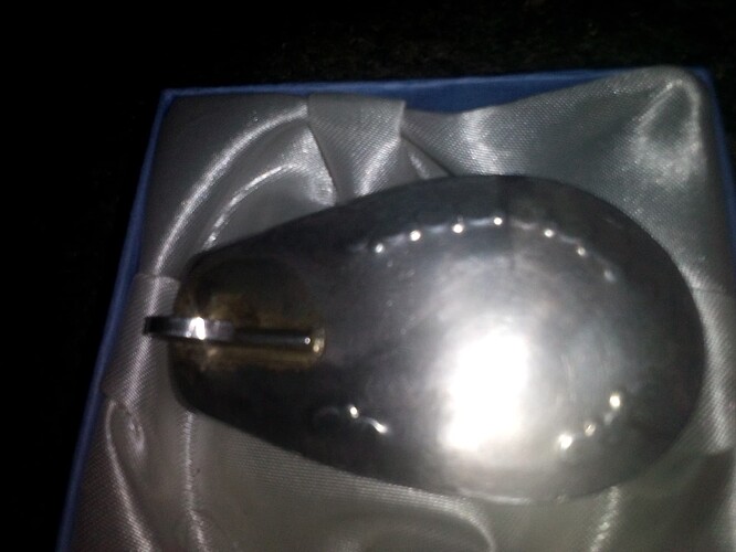 IMG_20251029_133009103