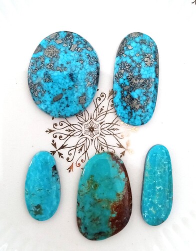 IMG_20250314_163744975~2